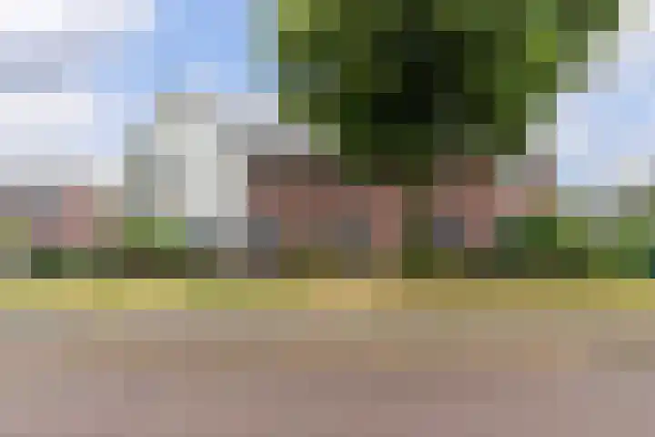 Parelhoender 6 Apeldoorn thumbnail 33