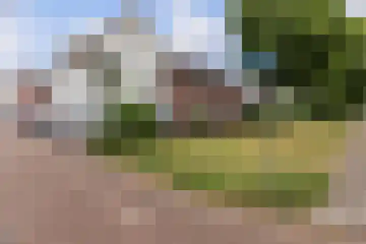 Parelhoender 6 Apeldoorn thumbnail 34