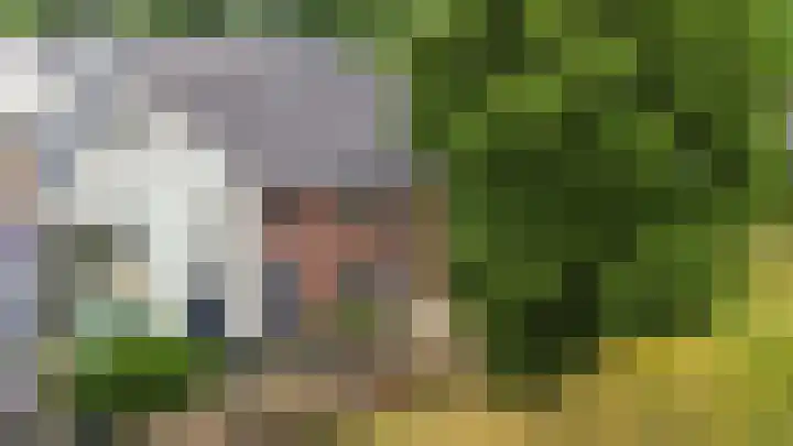 Parelhoender 6 Apeldoorn thumbnail 35