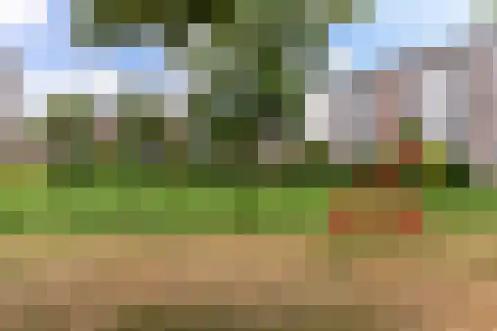 Parelhoender 6 Apeldoorn thumbnail 36