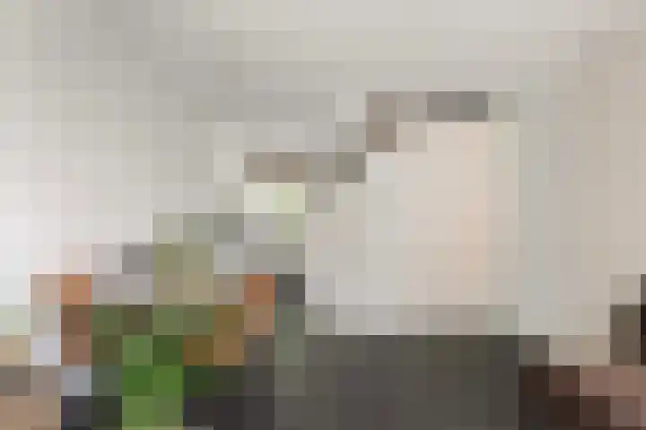 Parelhoender 6 Apeldoorn thumbnail 6