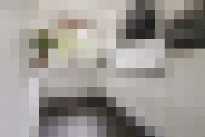 Parelhoender 6 Apeldoorn thumbnail 8