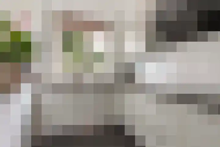 Parelhoender 6 Apeldoorn thumbnail 9