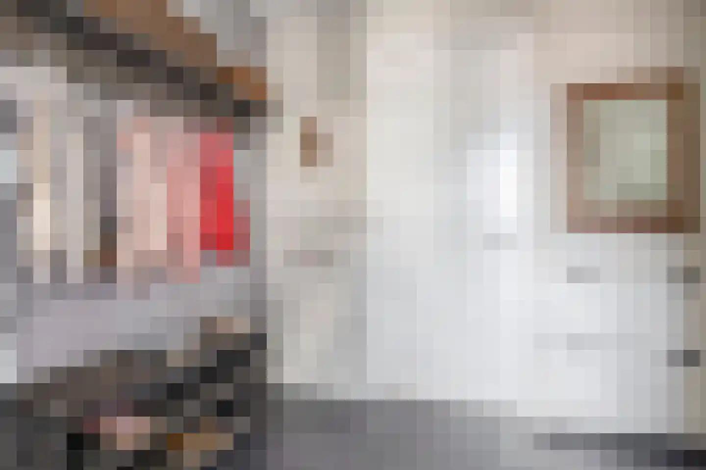 Parelhoenhof 4 Schoonhoven thumbnail 11