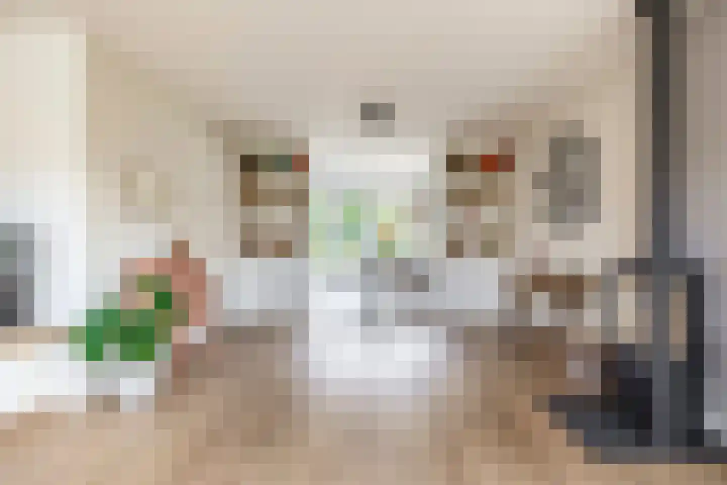 Parelhoenhof 4 Schoonhoven thumbnail 16