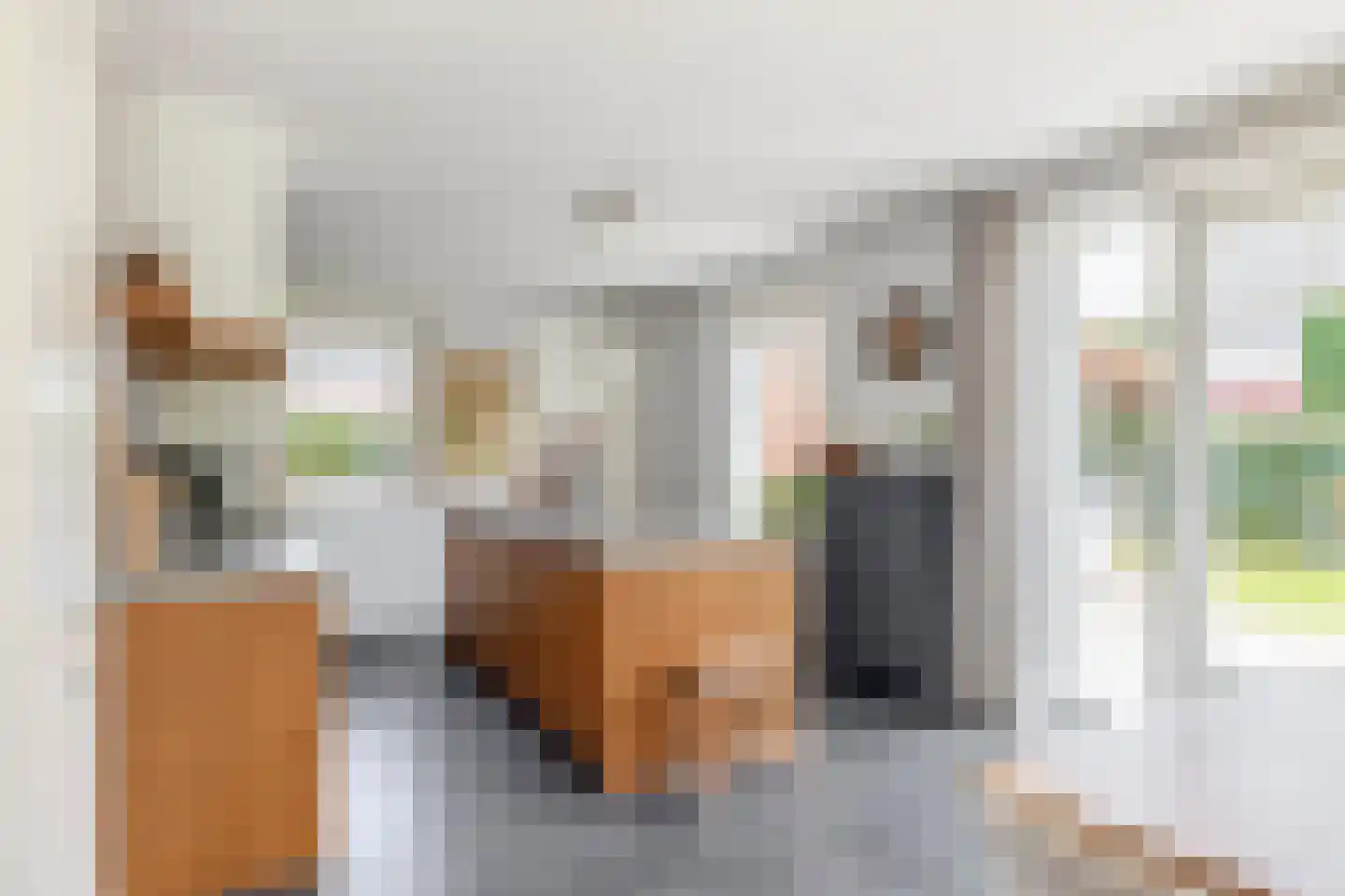 Parelhoenhof 4 Schoonhoven thumbnail 19