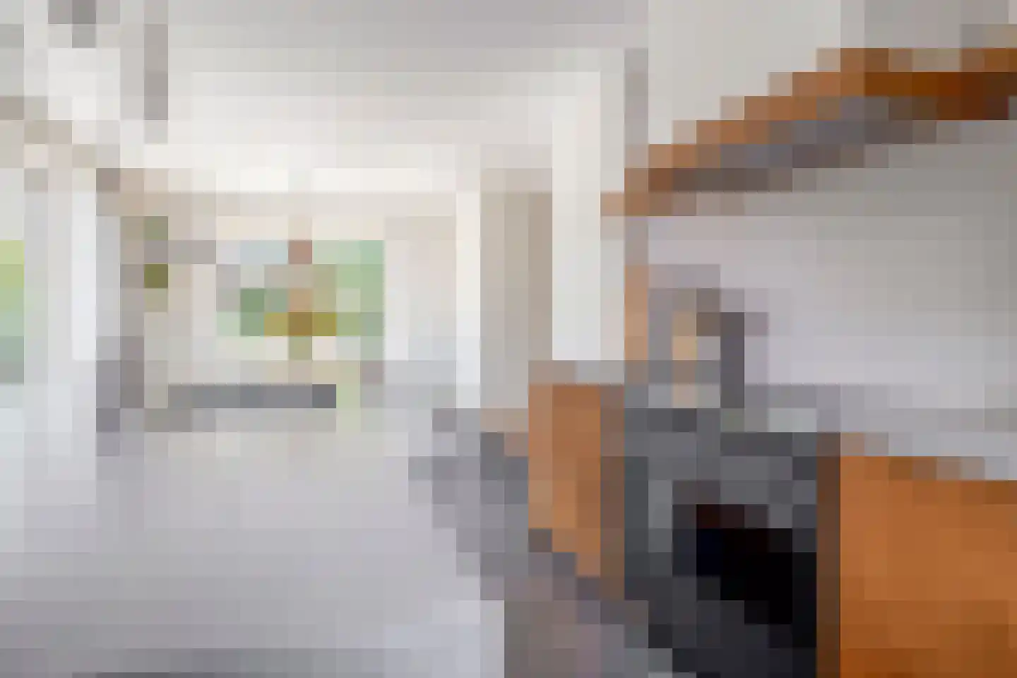 Parelhoenhof 4 Schoonhoven thumbnail 24
