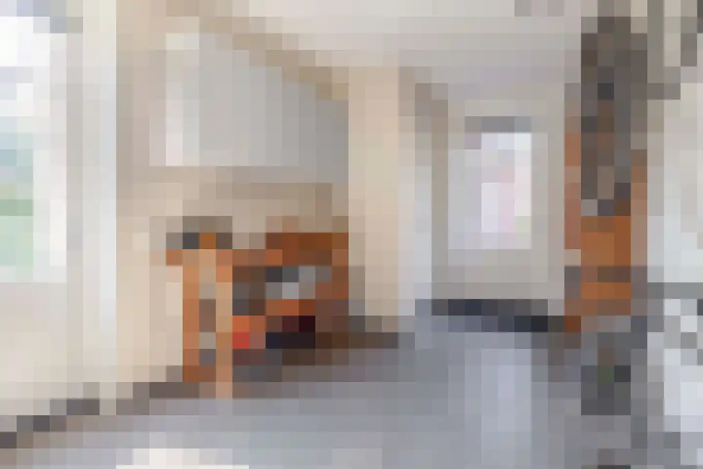 Parelhoenhof 4 Schoonhoven thumbnail 39