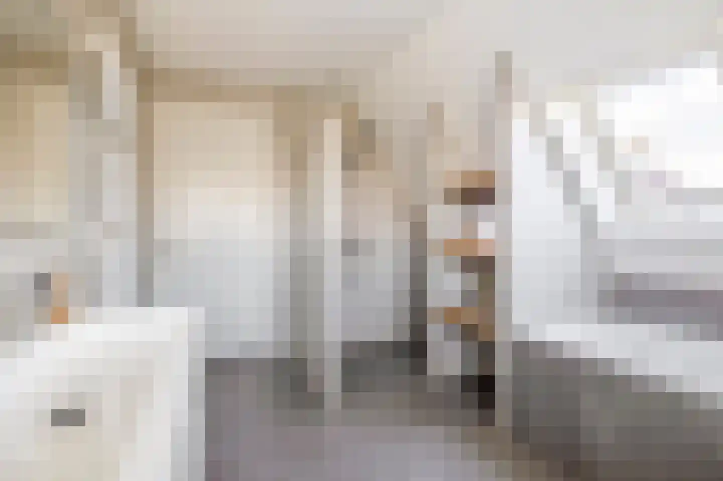 Parelhoenhof 4 Schoonhoven thumbnail 46