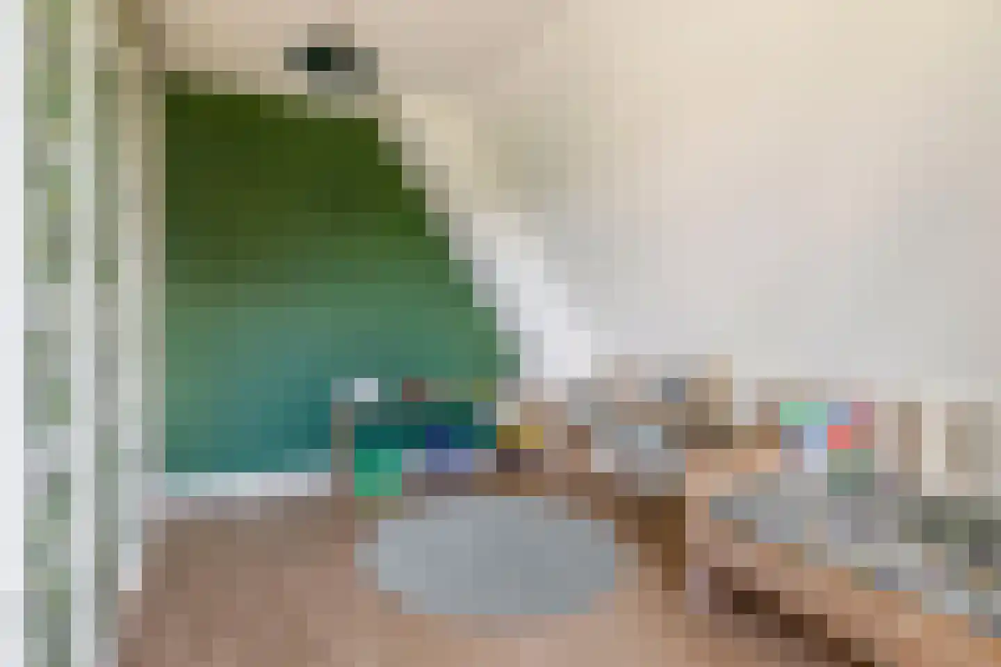 Parelhoenhof 4 Schoonhoven thumbnail 52