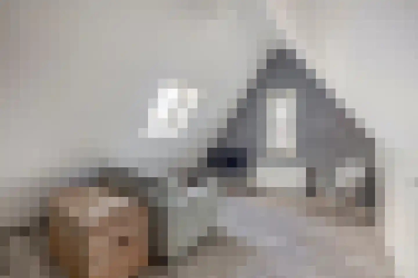 Parelhoenhof 4 Schoonhoven thumbnail 53