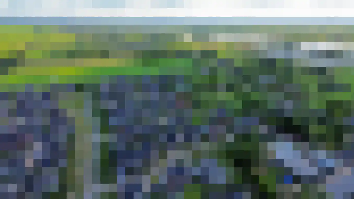 Parelhoenhof 4 Schoonhoven thumbnail 61