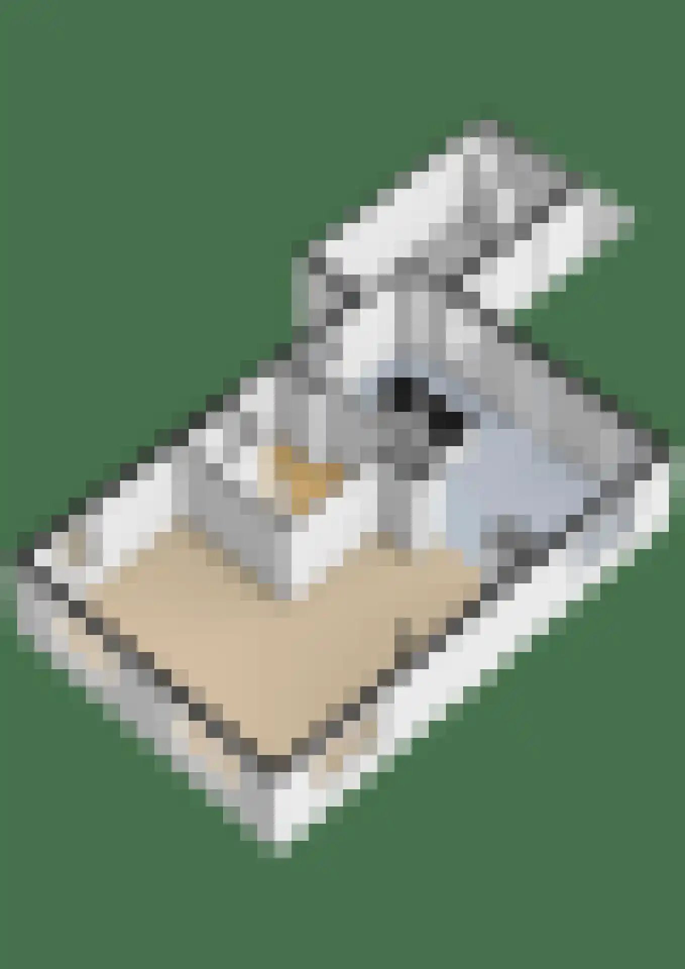 Parelhoenhof 4 Schoonhoven thumbnail 67