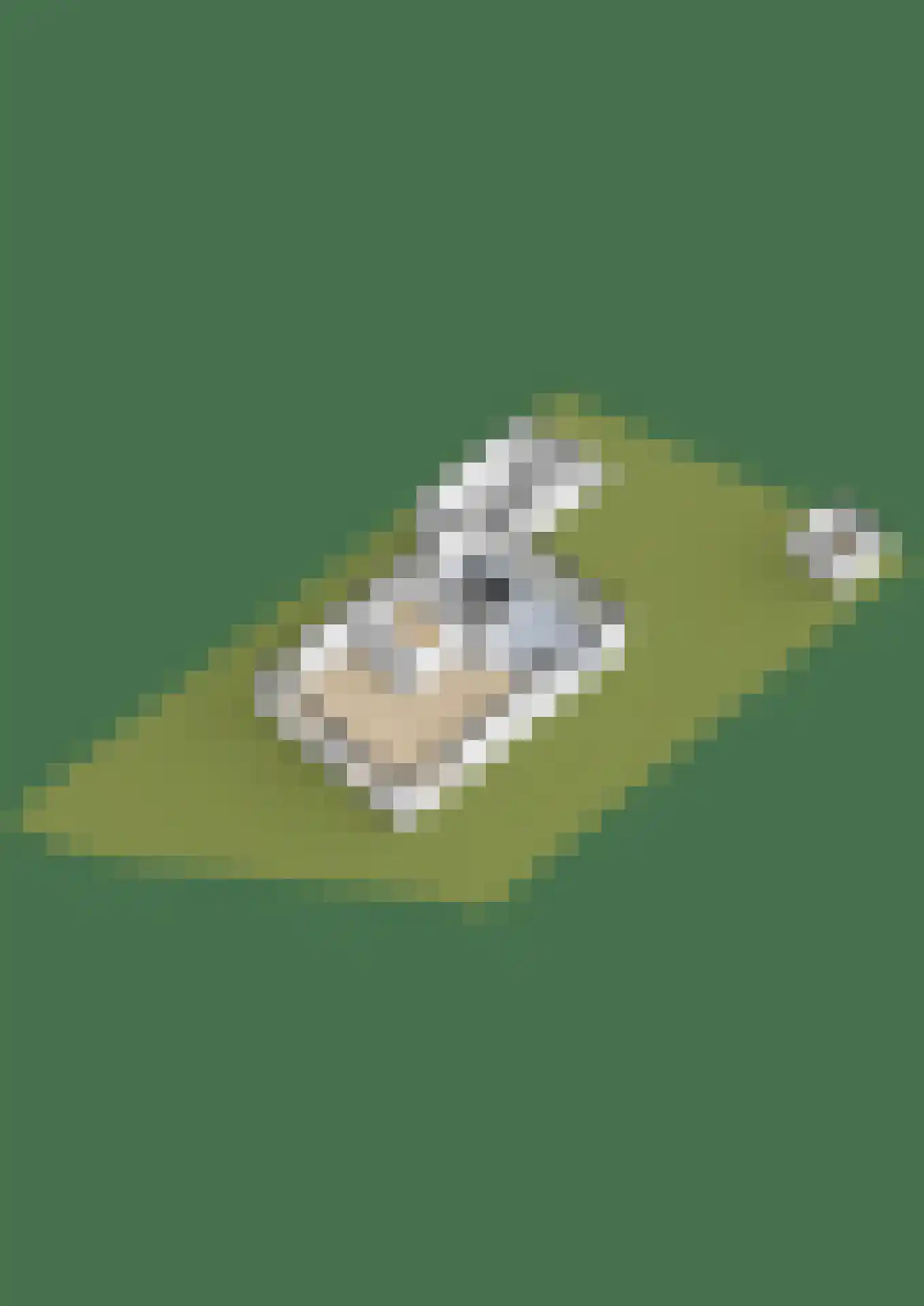 Parelhoenhof 4 Schoonhoven thumbnail 71