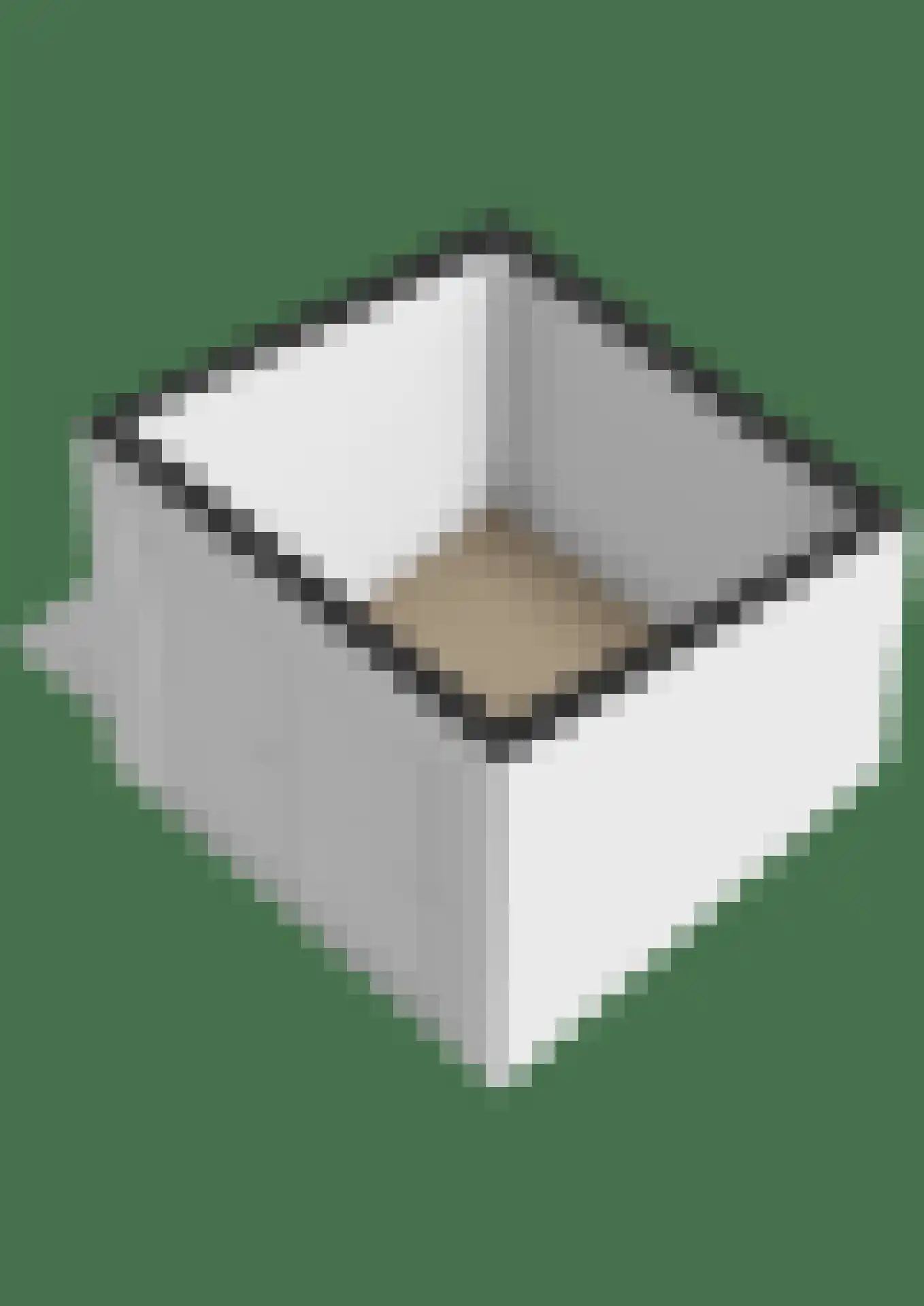 Parelhoenhof 4 Schoonhoven thumbnail 75