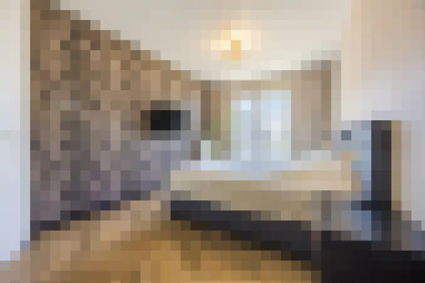 Parelmoer 25 Zevenbergen thumbnail 21