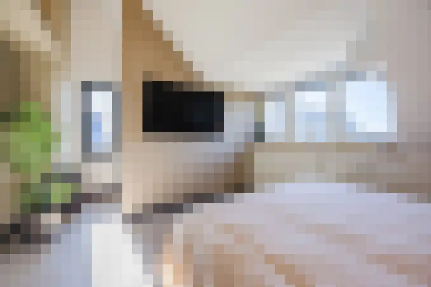 Parelmoer 25 Zevenbergen thumbnail 35