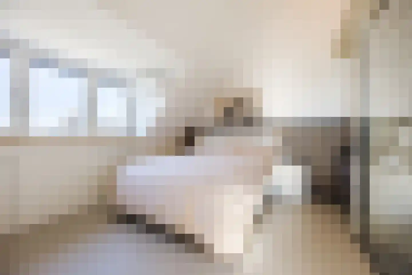 Parelmoer 25 Zevenbergen thumbnail 36
