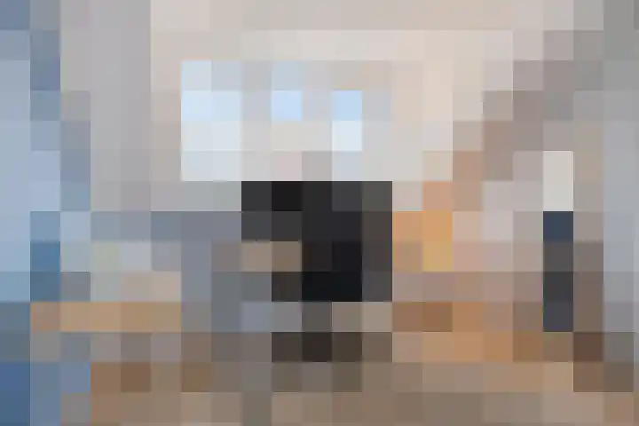 Parelmoerboog 10 Terneuzen thumbnail 35