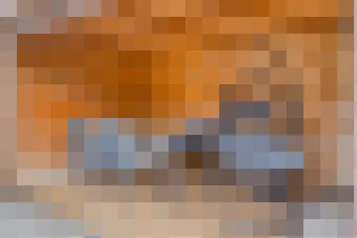 Parelmoerboog 10 Terneuzen thumbnail 38