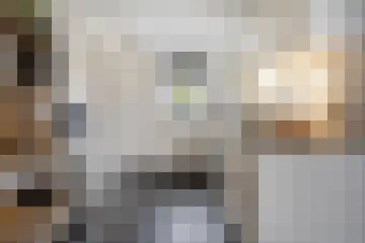 Parelmoerboog 10 Terneuzen thumbnail 4