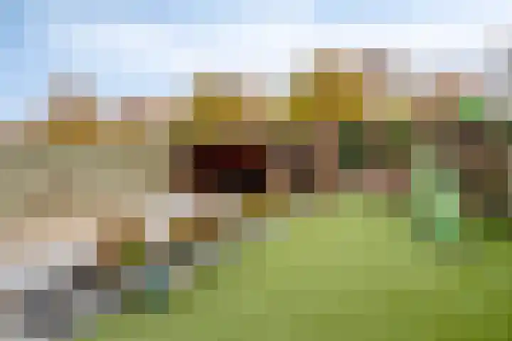 Parelmoerboog 10 Terneuzen thumbnail 5