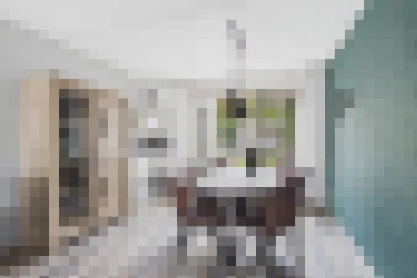 Parelmoerboog 14 Terneuzen thumbnail 15