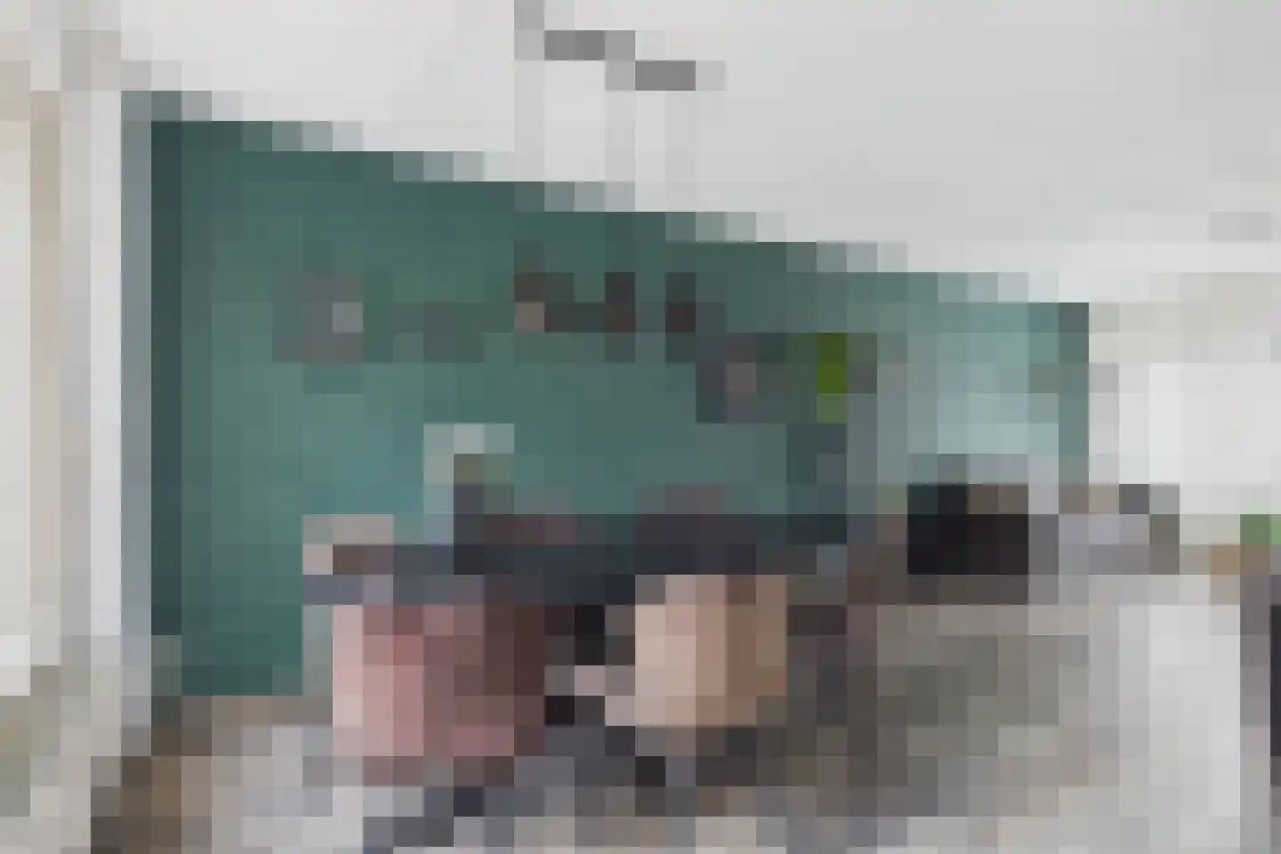 Parelmoerboog 14 Terneuzen thumbnail 16