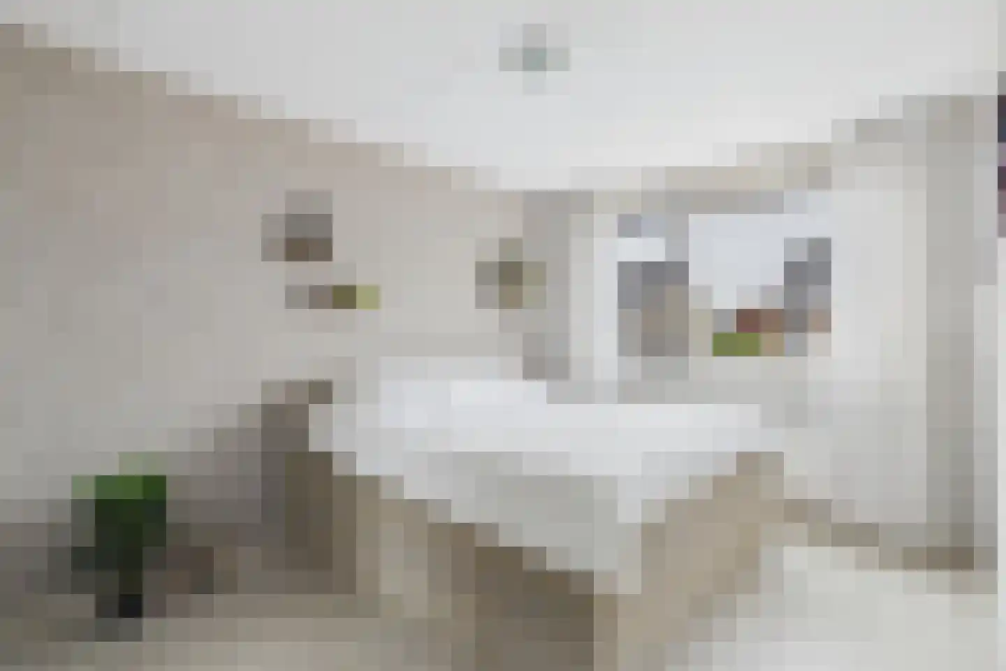 Parelmoerboog 14 Terneuzen thumbnail 22
