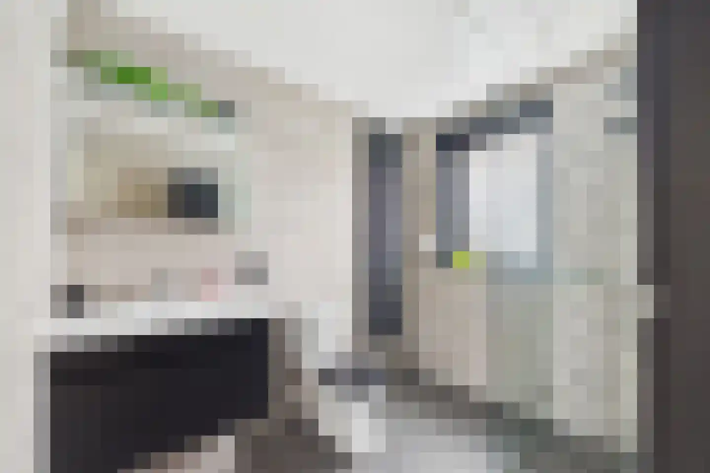 Parelmoerboog 14 Terneuzen thumbnail 29