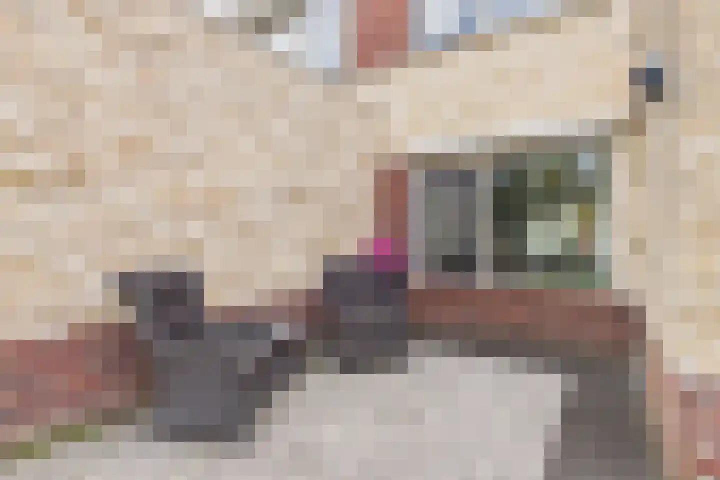 Parelmoerboog 14 Terneuzen thumbnail 38