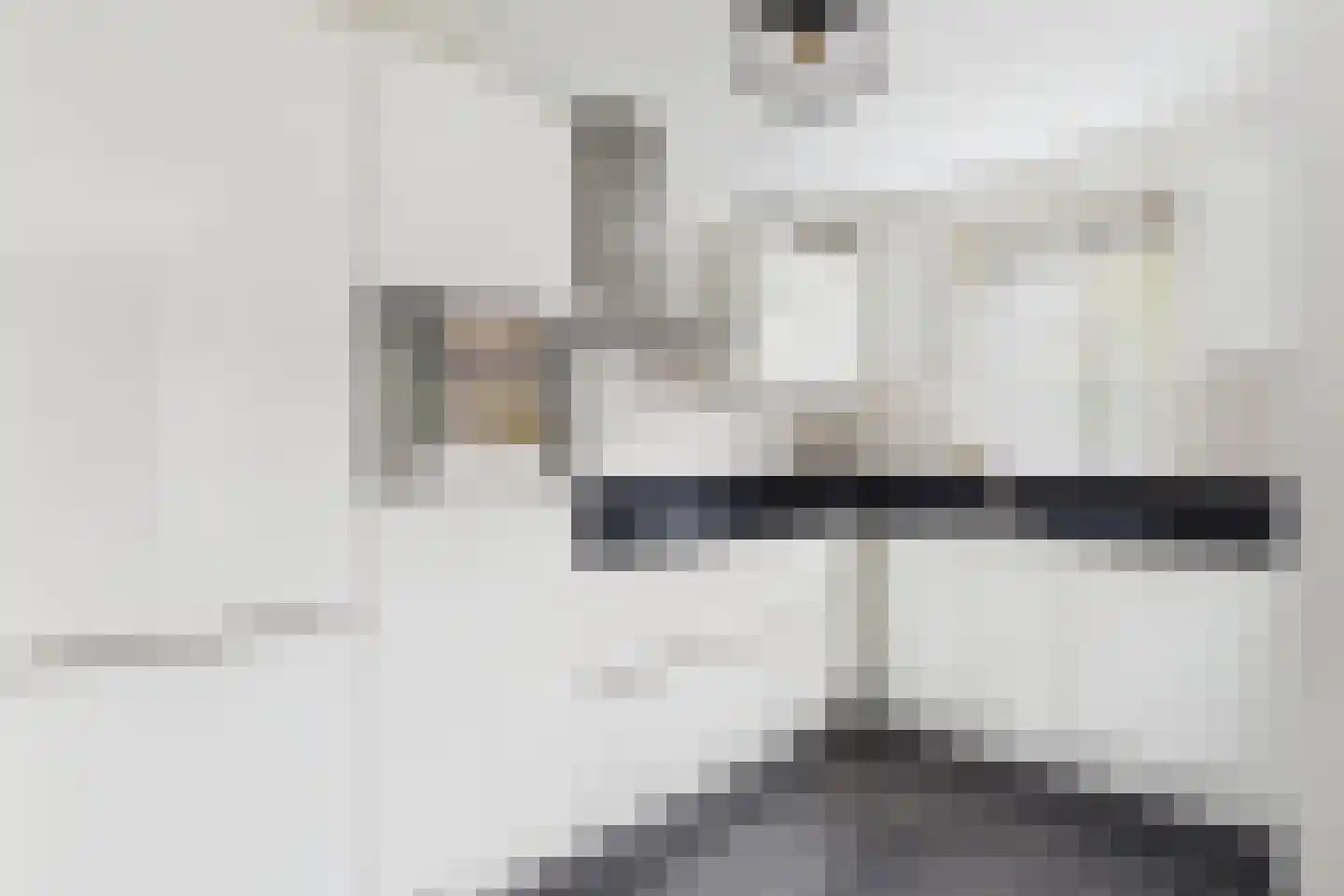 Parelmoerboog 14 Terneuzen thumbnail 5