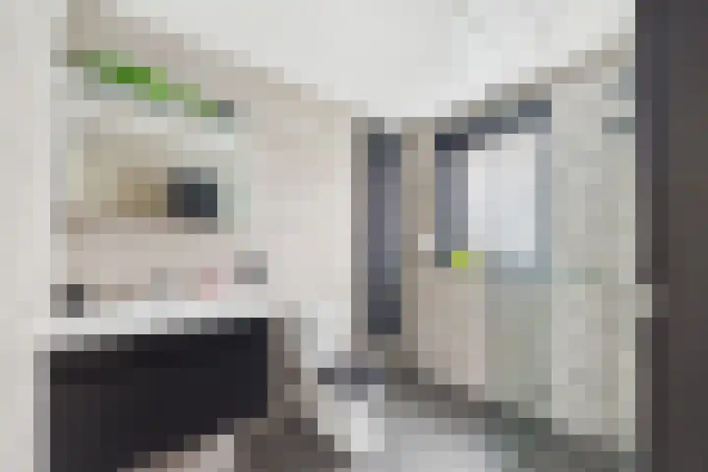 Parelmoerboog 14 Terneuzen thumbnail 6