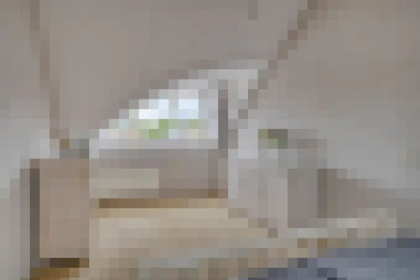Parelmoerboog 51 Terneuzen thumbnail 20