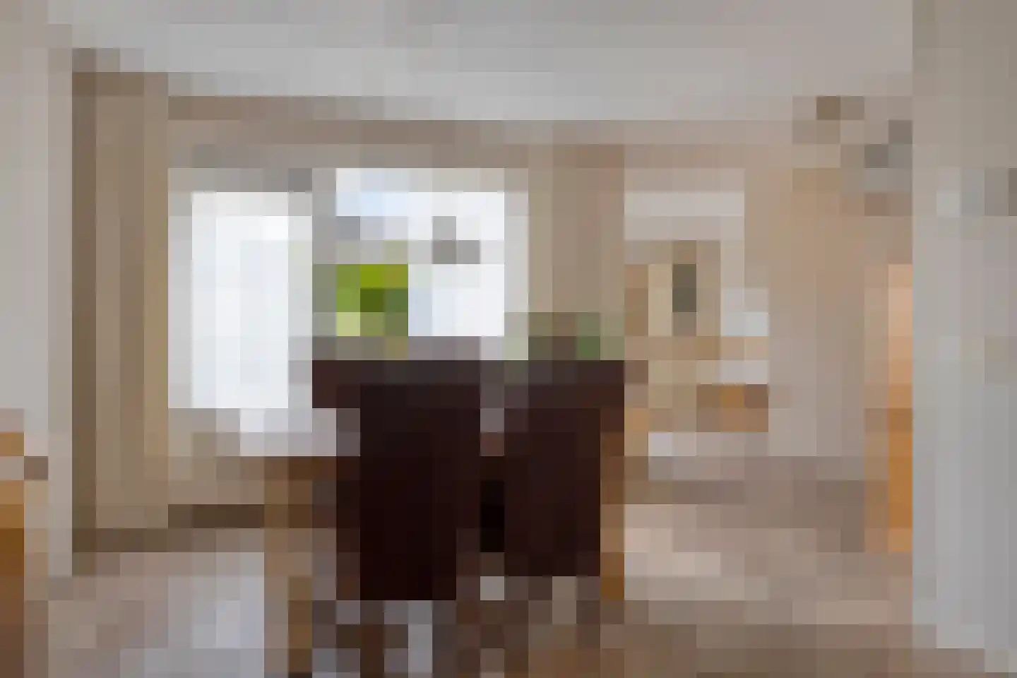 Parelmoerboog 51 Terneuzen thumbnail 6