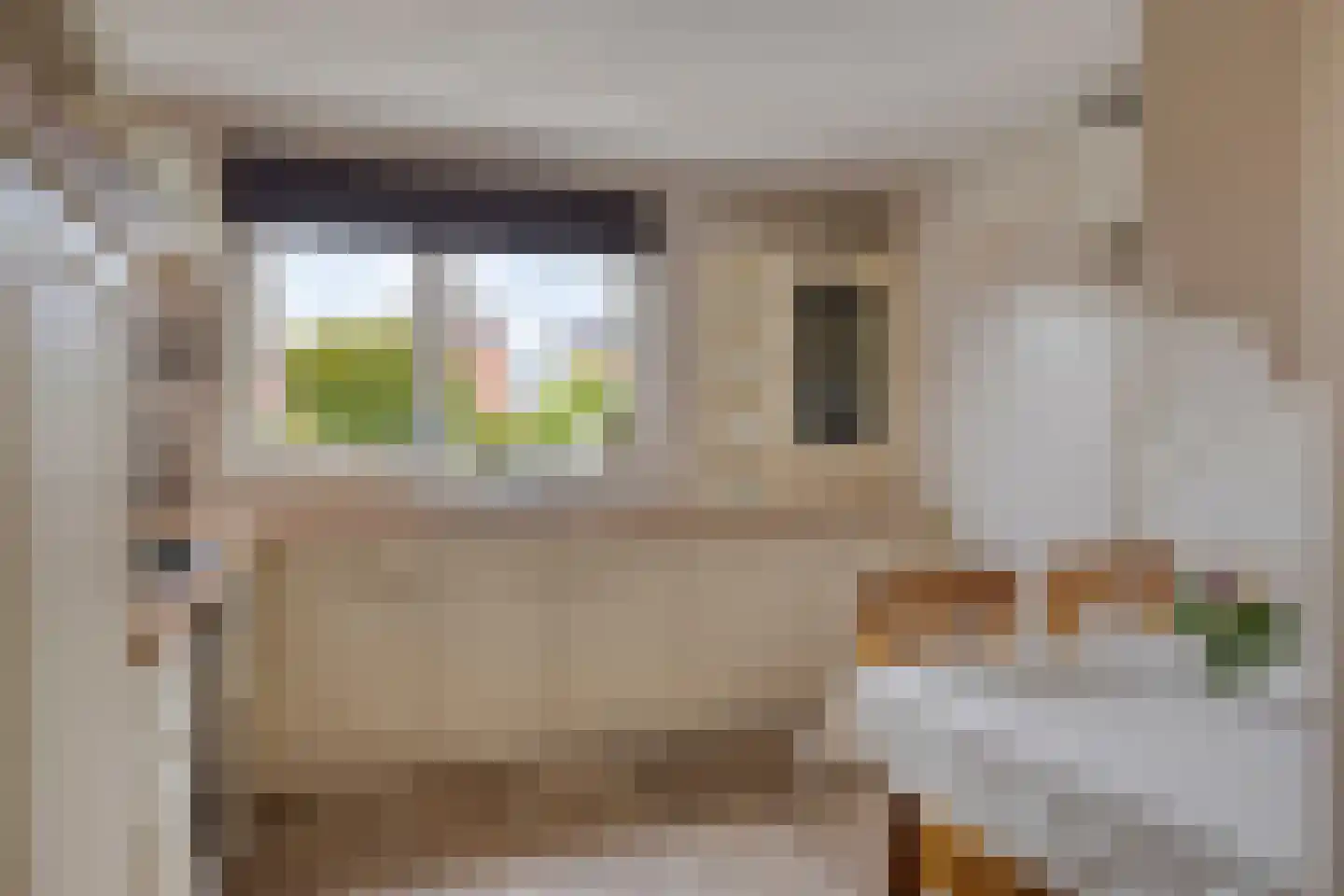 Parelmoerboog 51 Terneuzen thumbnail 7