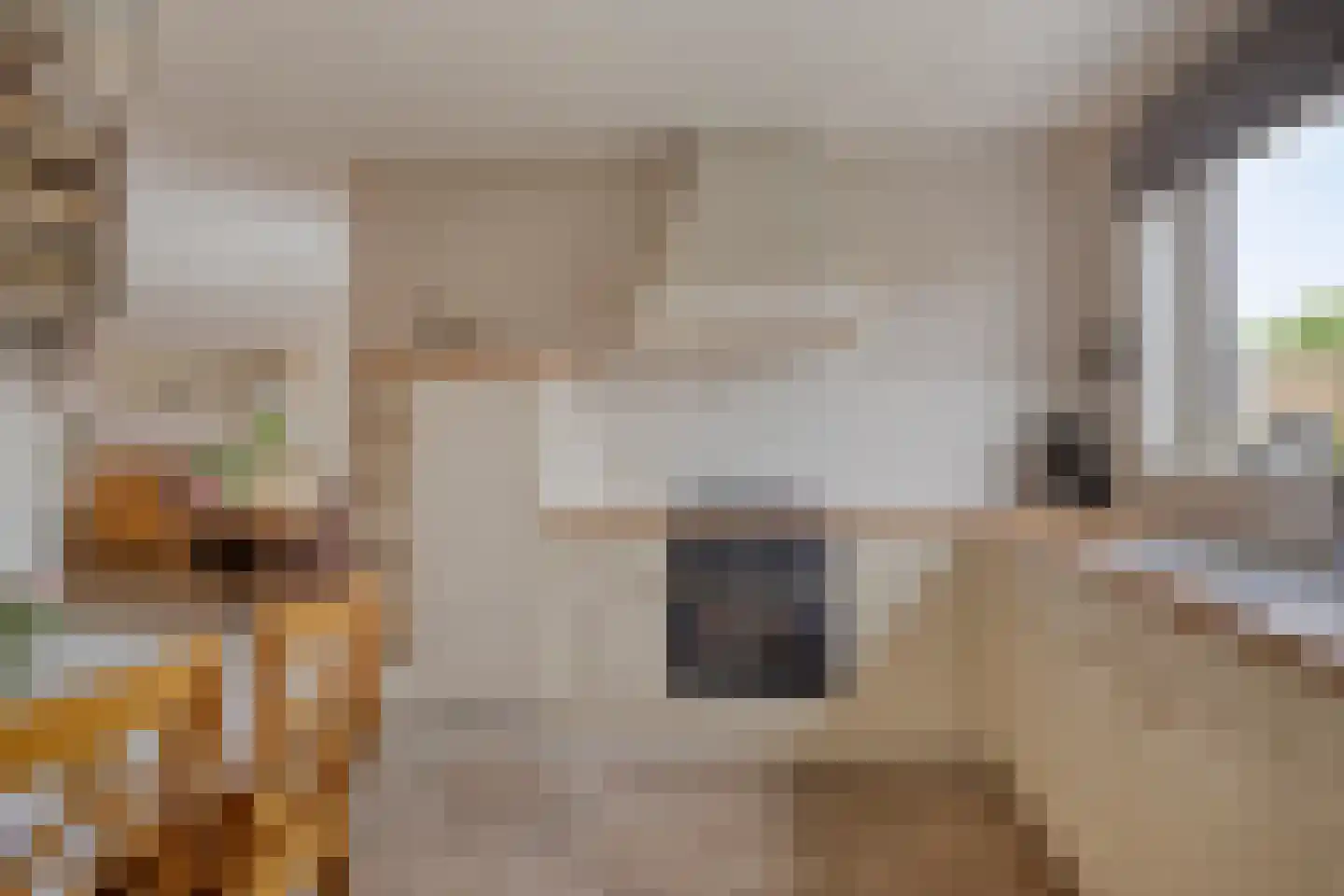 Parelmoerboog 51 Terneuzen thumbnail 8