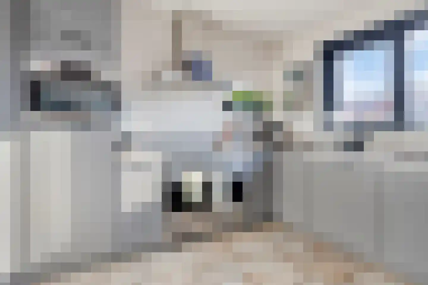 Parelmoerboog 7 Terneuzen thumbnail 15