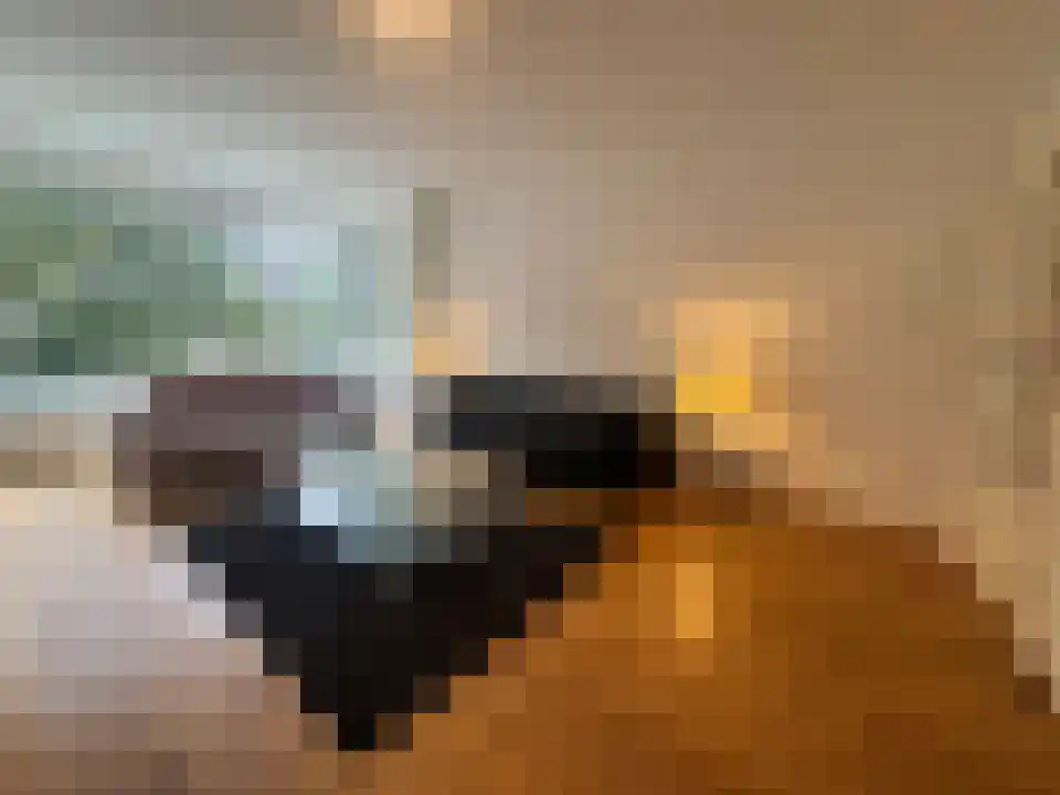 Parelmoerhorst 122 Den Haag thumbnail 6