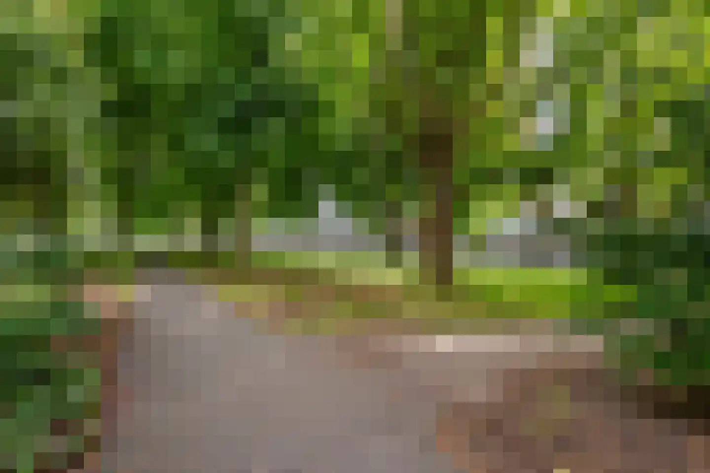 Parelmoerhorst 152 Den Haag thumbnail 32