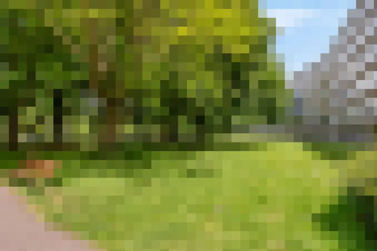 Parelmoerhorst 152 Den Haag thumbnail 33