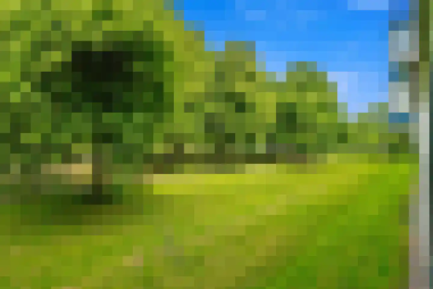 Parelmoerhorst 184 Den Haag thumbnail 25