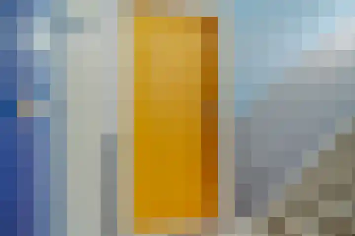 Parelmoerhorst 242 Den Haag thumbnail 8