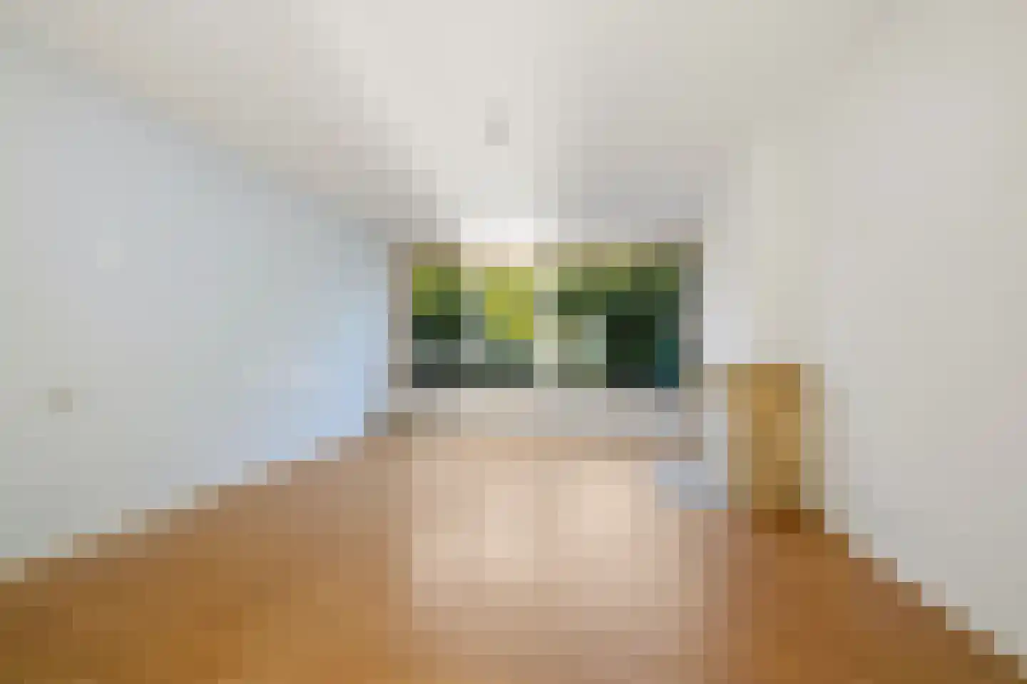 Parelmoerhorst 244 Den Haag thumbnail 8