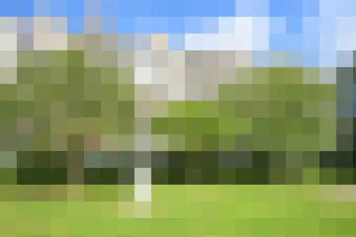 Parelmoerhorst 302 Den Haag thumbnail 6