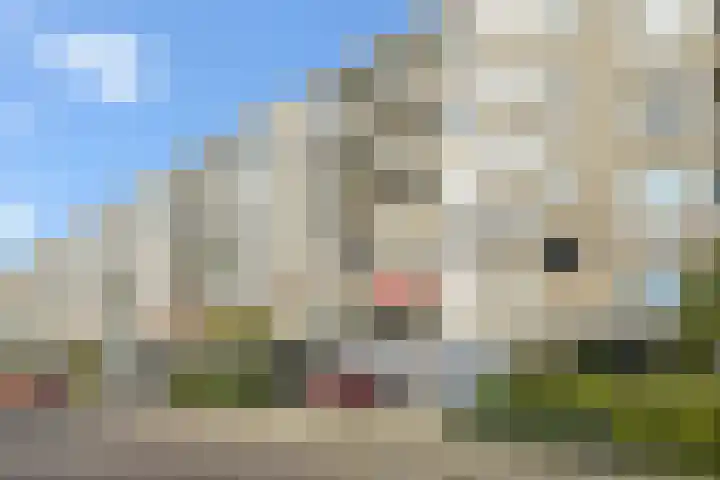 Parelmoerhorst 302 Den Haag thumbnail 7
