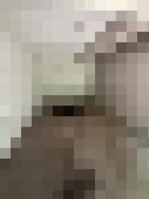 Parelmoerhorst 364 Den Haag thumbnail 6