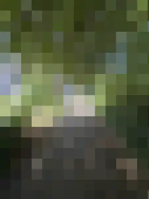 Parelmoerhorst 364 Den Haag thumbnail 7