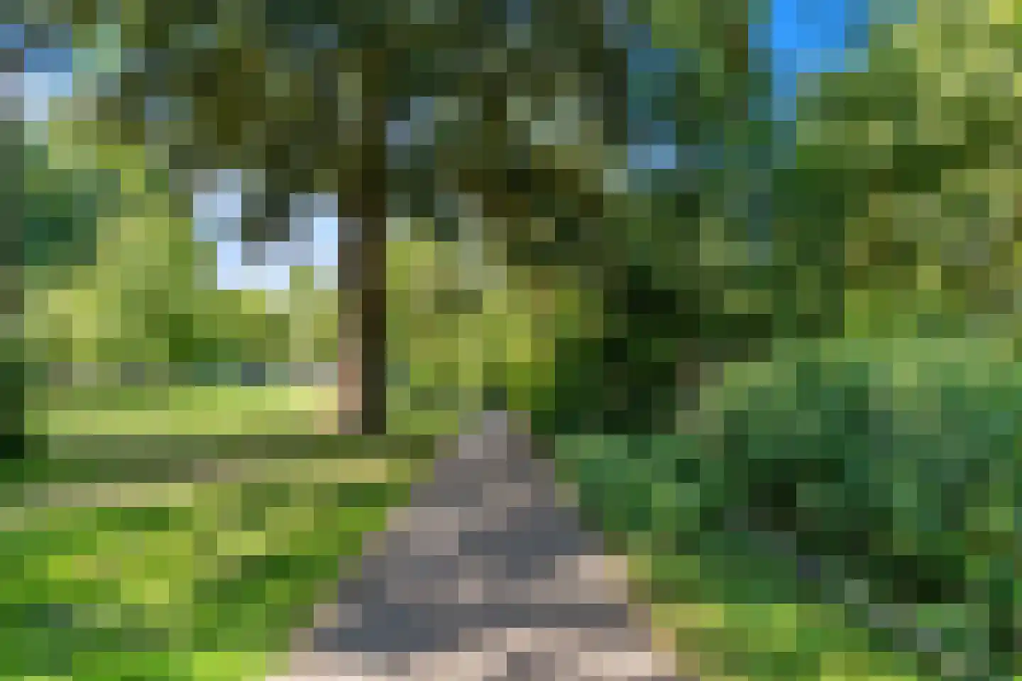 Parelmoerhorst 63 Den Haag thumbnail 34