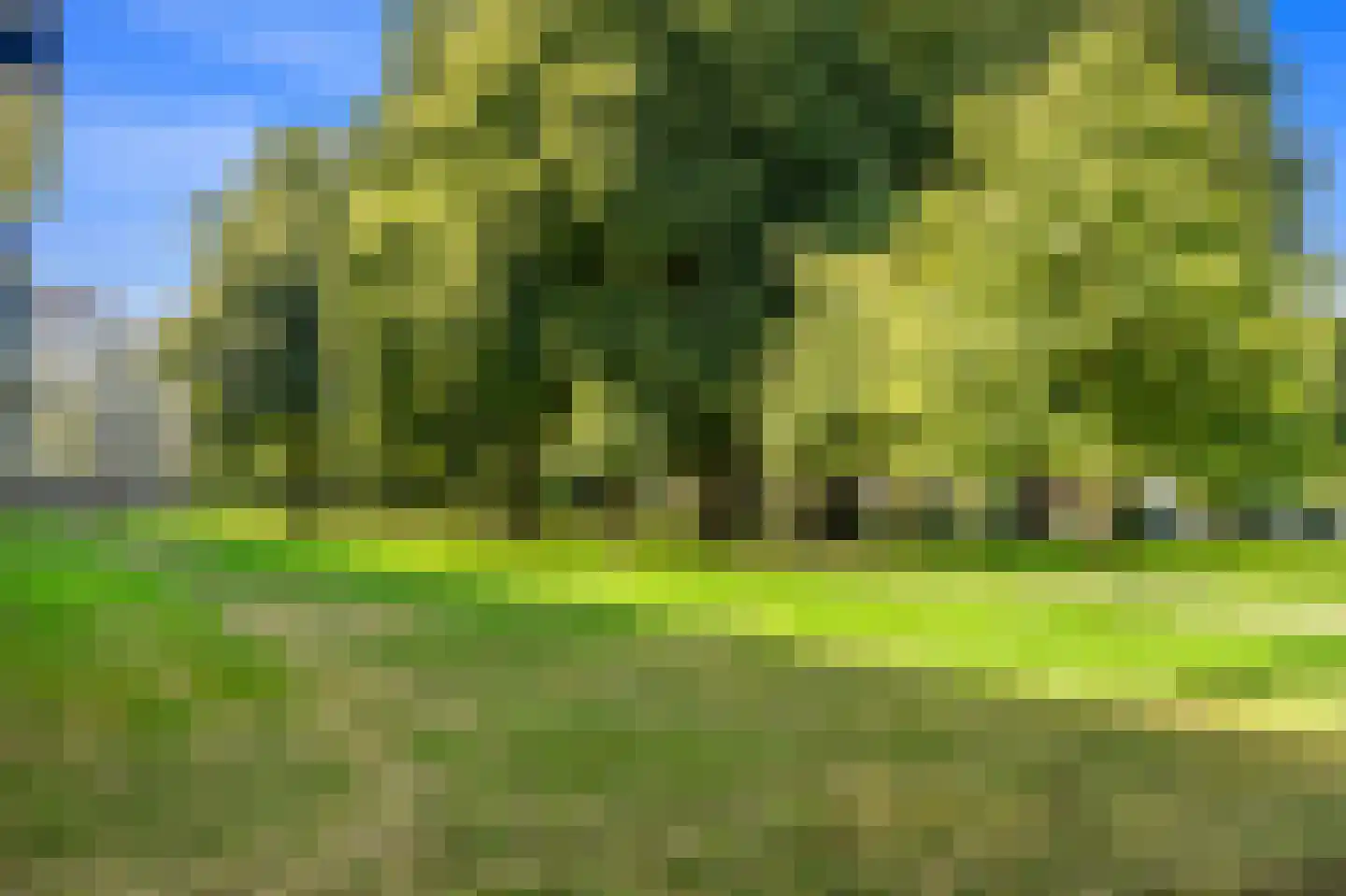 Parelmoerhorst 63 Den Haag thumbnail 36